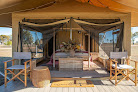 Negocio Expo Glamping México