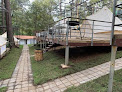 Negocio Glamping Río Valle De Bravo