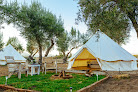 Guadalupe Valle Glamping