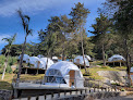 Negocio Hotel Glamping Fuerza Ancestral