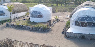Negocio Hotel Glamping