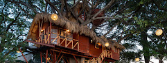 Negocio Nido Ecoluxury - Casa Del Árbol & Glamping