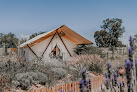 Negocio Salterra Glamping